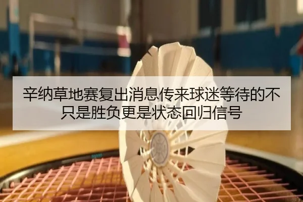 辛纳草地赛复出消息传来球迷等待的不只是胜负更是状态回归信号